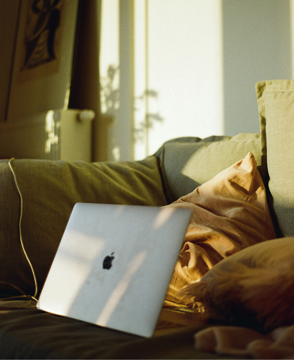 Laptop resting on a couch bathed in warm afternoon light